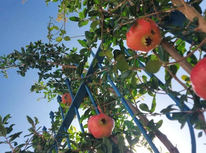 Luiss Panorama * Durrës