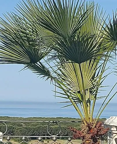 Luiss Panorama Ferienhaus *