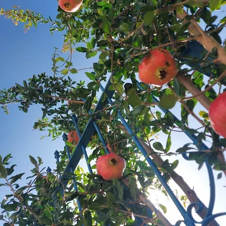 Luiss Panorama * Durrës
