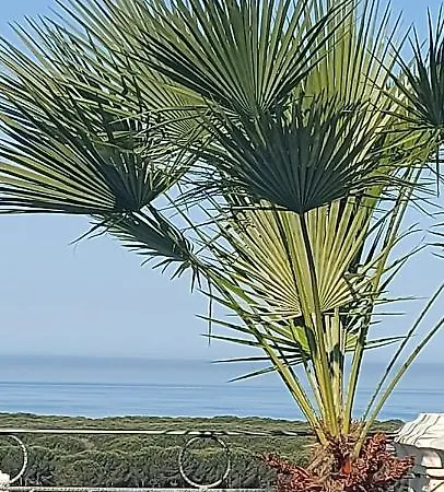 Luiss Panorama Hébergement de vacances *