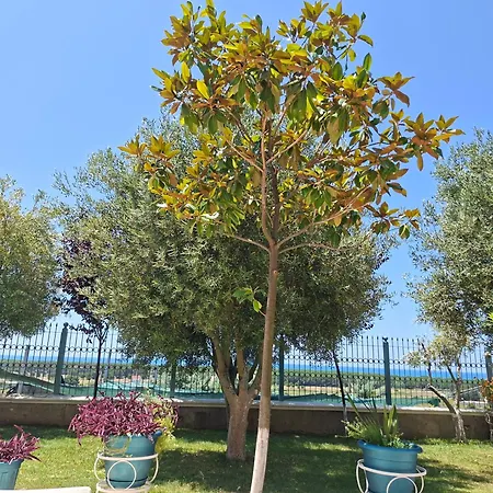 Hébergement de vacances Luiss Panorama *